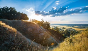 Otwórz drzwi wiedzy dzięki innowacyjnemu Portalowi edukacyjnemu!