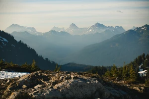 Najważniejsze narzędzia warsztatowe, które każdy majsterkowicz powinien znać